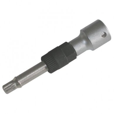 Antgalis generatoriui 1/2" įpresuotas M10 torx