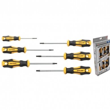 Atsuktuvų rinkinys T-star torx T10-T30 6vnt.