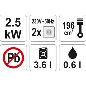 Benzininis generatorius su apsauga nuo perkrovos 2.7kW 230V 1