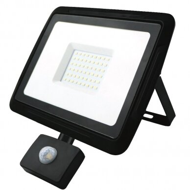 LED lauko šviestuvas 10-100W Eurolight BREMEN