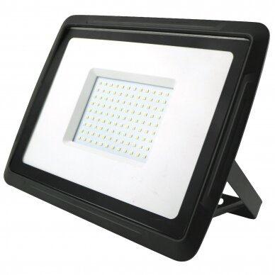 LED lauko šviestuvas 10-100W Eurolight BREMEN