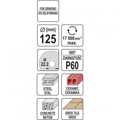 Šlifavimo diskas elastinis universalus 125mm P60 1