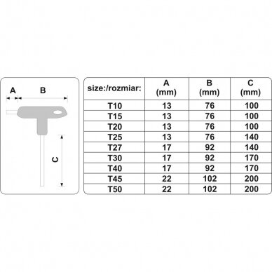 T-rankenėlių atsuktuvų rinkinys star su skyle 9vnt. (T10-T50) 2